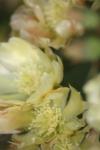 <img100*0:stuff/z/73640/spring%2520upload/i1263494722_21.jpg>