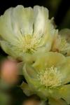 <img100*0:stuff/z/73640/spring%2520upload/i1263494722_22.jpg>