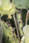 <img100*0:stuff/z/73640/spring%2520upload/i1263494722_23.jpg>