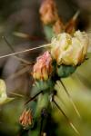<img100*0:stuff/z/73640/spring%2520upload/i1263494722_24.jpg>