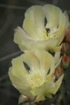 <img100*0:stuff/z/73640/spring%2520upload/i1263494722_25.jpg>