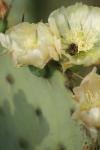 <img100*0:stuff/z/73640/spring%2520upload/i1263494722_26.jpg>