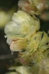 <img100*0:stuff/z/73640/spring%2520upload/i1263494722_27.jpg>