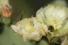 <img100*0:stuff/z/73640/spring%2520upload/i1263494722_28.jpg>