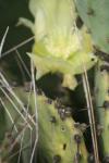<img100*0:stuff/z/73640/spring%2520upload/i1263494722_29.jpg>