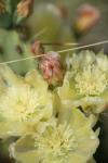 <img100*0:stuff/z/73640/spring%2520upload/i1263494722_30.jpg>