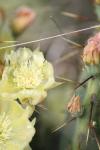 <img100*0:stuff/z/73640/spring%2520upload/i1263494722_7.jpg>