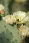 <img100*0:stuff/z/73640/spring%2520upload/i1263494722_8.jpg>