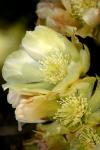 <img100*0:stuff/z/73640/spring%2520upload/i1263494722_9.jpg>