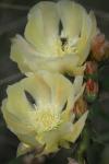 <img100*0:stuff/z/73640/spring%2520upload/i1263494723_31.jpg>