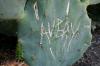 <img100*0:stuff/z/73640/spring%2520upload/i1263494723_32.jpg>