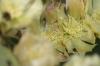 <img100*0:stuff/z/73640/spring%2520upload/i1263494723_34.jpg>