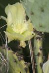 <img100*0:stuff/z/73640/spring%2520upload/i1263494723_35.jpg>