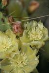 <img100*0:stuff/z/73640/spring%2520upload/i1263494723_36.jpg>