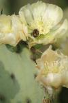 <img100*0:stuff/z/73640/spring%2520upload/i1263494723_38.jpg>