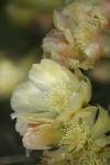 <img100*0:stuff/z/73640/spring%2520upload/i1263494723_39.jpg>