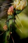 <img100*0:stuff/z/73640/spring%2520upload/i1263494723_41.jpg>