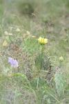 <img100*0:stuff/z/73640/spring%2520upload/i1263495406_1.jpg>
