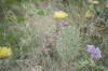 <img100*0:stuff/z/73640/spring%2520upload/i1263495407_2.jpg>