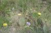 <img100*0:stuff/z/73640/spring%2520upload/i1263495407_3.jpg>