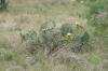 <img100*0:stuff/z/73640/spring%2520upload/i1263495407_4.jpg>
