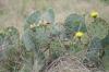 <img100*0:stuff/z/73640/spring%2520upload/i1263495407_5.jpg>