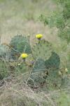 <img100*0:stuff/z/73640/spring%2520upload/i1263495407_6.jpg>