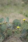 <img100*0:stuff/z/73640/spring%2520upload/i1263495407_7.jpg>