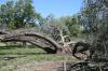 <img100*0:stuff/z/73640/tree%2520reference.1/i1262748137_13.jpg>