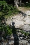<img100*0:stuff/z/73640/tree%2520reference.2/i1264564835_1.jpg>