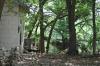 <img100*0:stuff/z/73640/tree%2520reference.2/i1264564835_2.jpg>