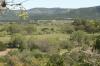 <img100*0:stuff/z/73640/tree%2520reference.2/i1265163170_7.jpg>