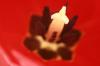 <img100*0:stuff/z/73640/tulips.2/i1262162067_15.jpg>