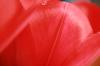 <img100*0:stuff/z/73640/tulips.2/i1262164523_3.jpg>