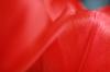 <img100*0:stuff/z/73640/tulips.2/i1262164524_11.jpg>