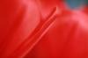 <img100*0:stuff/z/73640/tulips.2/i1262164524_7.jpg>