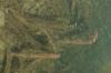 <img100*0:stuff/z/73640/underwater%2520reference/i1257804436_2.jpg>