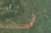 <img100*0:stuff/z/73640/underwater%2520reference/i1257804436_4.jpg>