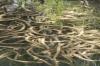 <img100*0:stuff/z/73640/underwater%2520refup1/i1265089340_1.jpg>