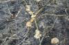 <img100*0:stuff/z/73640/underwater%2520refup1/i1265089340_6.jpg>