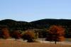 <img100*0:stuff/z/73640/uploadattempt1/i1256177326_1.jpg>