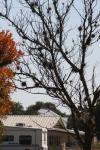 <img100*0:stuff/z/73640/uploadattempt1/i1256177326_6.jpg>