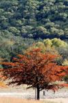 <img100*0:stuff/z/73640/uploadattempt1/i1256177327_10.jpg>
