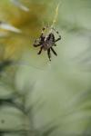 <img100*0:stuff/z/73640/uploadiiit/i1257832752_10.jpg>