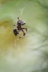 <img100*0:stuff/z/73640/uploadiiit/i1257832753_30.jpg>