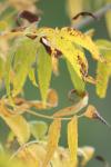 <img100*0:stuff/z/73640/uploadpage11/i1257137876_10.jpg>