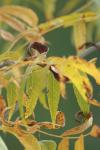 <img100*0:stuff/z/73640/uploadpage11/i1257137876_8.jpg>
