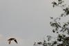 <img100*0:stuff/z/73640/uploadthismow/i1257208408_20.jpg>