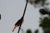 <img100*0:stuff/z/73640/uploadthismow/i1257222363_23.jpg>
