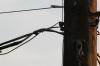 <img100*0:stuff/z/73640/uploadthismow/i1257222363_28.jpg>